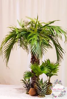 a large palm tree sitting on top of a table next to other plants and flowers