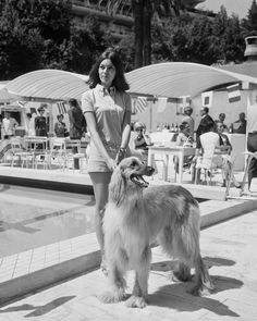 a woman standing next to a dog near a swimming pool