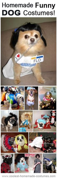 there is a collage of dogs dressed up in costumes and hats with tags on them