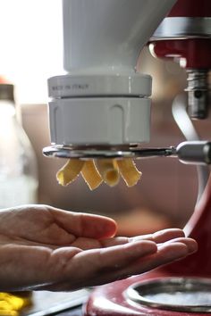 a person holding something in their hand near a blender and food processor on a table