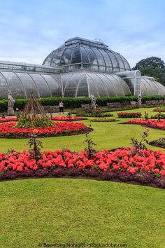 the garden is full of red flowers and glasshouses in the background with green grass