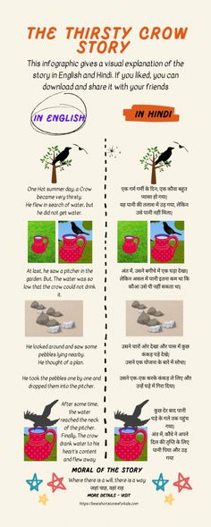 an info sheet describing the different types of birds