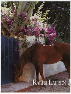 Beautiful ❤ Ralph Lauren Ralph Lauren Vintage Ads, Ralph Lauren Editorial, Ralph Lauren Horse, Ralph Lauren Ad, Horse With Flowers, Ralph Lauren Ads, English Country Style, Dude Ranch, Magazine Ad