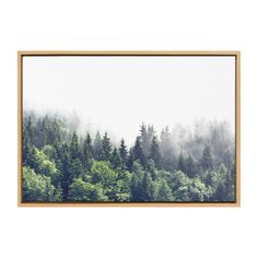 an image of trees in the foggy forest on a white background with wooden frame