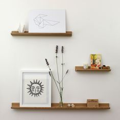 two wooden shelves with pictures and plants on them, one has a paper airplane above the shelf