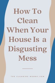 the words how to clean when your house is a disgusting mess