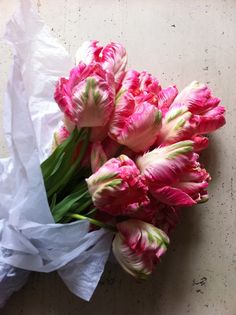 a bunch of pink flowers sitting on top of a white paper wrapped in plastic wrap