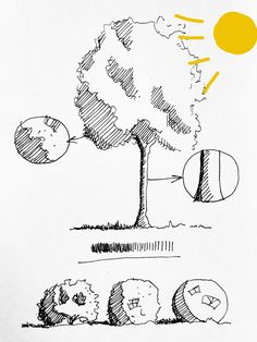 a drawing of a tree with the sun in the background