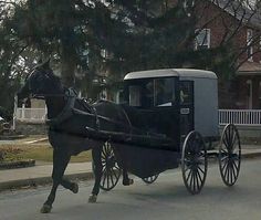 a horse drawn carriage on a city street