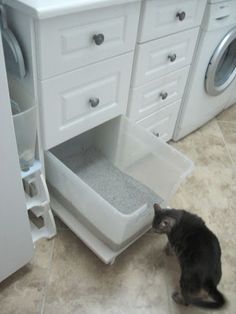 a cat sitting in front of a washer and dryer