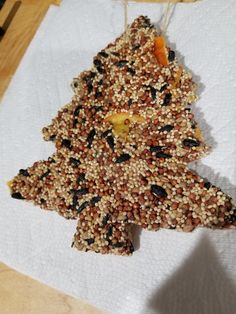 a bird feeder shaped like a christmas tree on top of a white paper towel with orange and black seeds