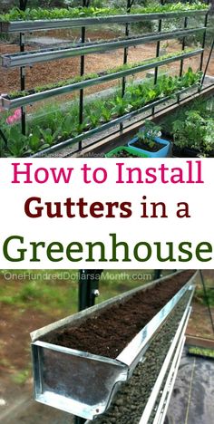 how to install gutters in a greenhouse with text overlay that reads, how to install gutters in a greenhouse