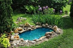 a small pond in the middle of a garden with rocks and plants around it, surrounded by greenery