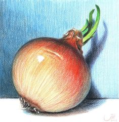 Ideas For Drawing Aesthetic Vegetable Drawing, Colored Pencil Art Projects, Acrylic Drawing, Color Pencil Sketch, Blue Drawings, Coloring Techniques, Drawing Lesson, Colored Pencil Artwork, Pencil Shading