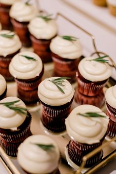 there are many cupcakes with white frosting and green sprigs on top