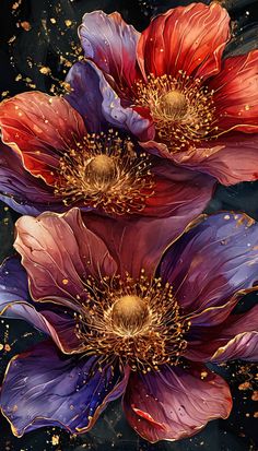 three purple and red flowers with gold flecks on them, against a black background