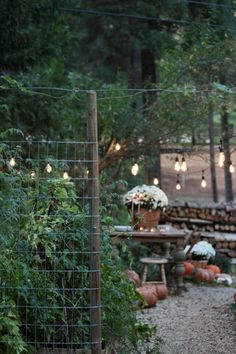 a garden with pumpkins and lights hanging from the trees