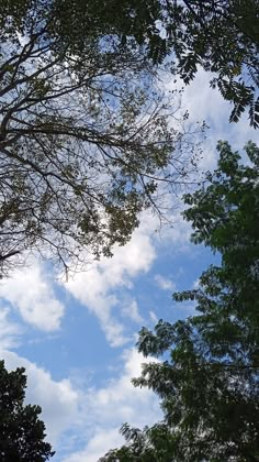 the sky is blue with clouds and trees