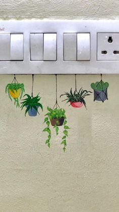 some plants are hanging from a light switch