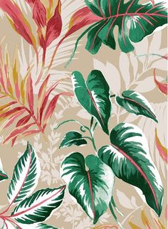 an illustration of tropical leaves and plants on a beige background with red, green, yellow and white colors