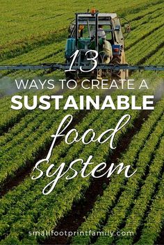 In order to create a sustainable food system, we must leverage the full range and force of private and public activity. Here's 13 ways to do that. Sustainable Food Systems, Nutritious Foods, Food Production, Food System, Food Security, Food Forest, Sustainable Farming, Sustainable Food