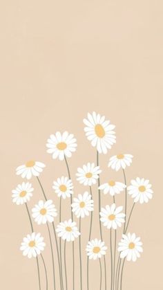 a vase filled with white daisies on top of a table