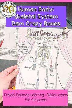 the human body skeletal system is shown in this lesson for kids to learn how to draw and