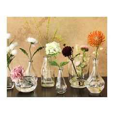 several vases filled with different types of flowers on top of a wooden table in front of a wall