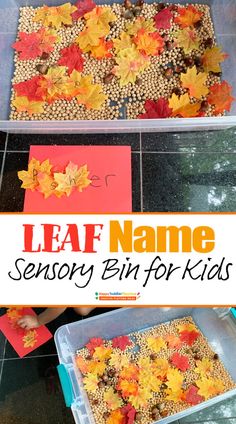 leaf name activity for kids to make with fall leaves and seeds in the shape of letters