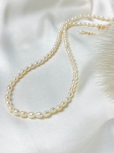 Elegant & minimalist: our pearl necklace is made of small rice grain-shaped freshwater cultured pearls, each individual pearl has its unique shape and a silky shimmer, which makes the piece of jewelry an interesting eye-catcher. Combine the pearl necklace with another gold necklace for the perfect layered look. The piece of jewelry will be shipped in an elegant jewelry box. PRODUCT INFO Pearls: Freshwater cultured pearl, rice-shaped approx. 4-5 x 5 mm, natural white Carabiner and extension chain Handmade Oval Pearl Necklace, Cream Pearl Necklace With Pearl Charm, Single Strand Pear-shaped Pearl Necklace, Pearl White Oval Beads Jewelry Gift, Pearl White Oval Beads Jewelry For Gift, Minimalist Handmade Pearl White Necklace, Classic Pearl Embellished Beaded Necklaces For Gift, Classic Pearl Embellished Beaded Necklace As Gift, Classic Adjustable Pearl Necklace