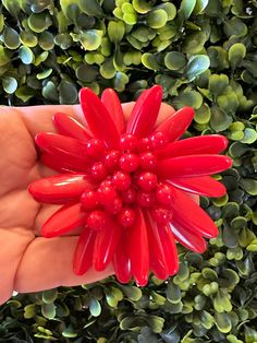 Beautiful Pin.  Perfect to wear or display. Red Flower Brooches For Gift, Red Flower-shaped Brooch With Handmade Flowers, Red Handmade Flower Brooches, Handmade Red Flower Brooches, Plastic Flower, Jewelry Beautiful, Plastic Flowers, Flower Pins, Pin Brooch