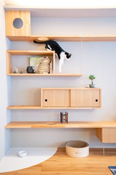 a black and white cat sitting on top of a wooden shelf