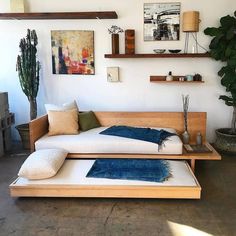 a living room filled with furniture and lots of plants on top of it's shelves