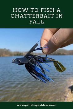 how to fish a chatterbath in fall