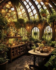 a room filled with lots of plants and potted plants on top of wooden tables