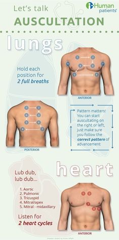 an info sheet shows how to use lungs for heart health and other medical purposes