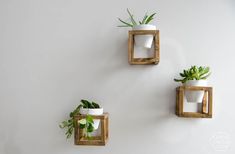 three wooden planters mounted to the wall with succulents