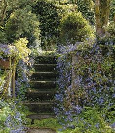 the steps are lined with blue flowers and greenery