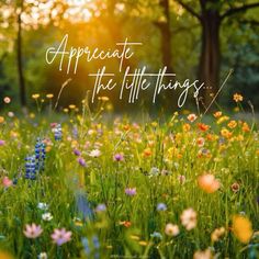 the words appreciat the little things are surrounded by wildflowers and trees