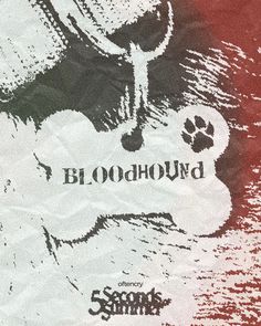 an advertisement for bloodhound featuring a dog's paw and the words bloodhound