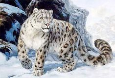 a painting of a snow leopard standing in the snow