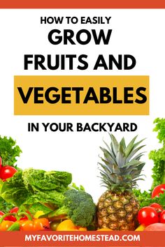 Don't let the fact that you don't know how to start a vegetable garden stop you from growing your own produce this year. This guide will take you through everything you need to get started growing vegetables, whether you have a large space or not. Soon, you'll be enjoying homegrown tomatoes, cucumbers, and more! Black Thumb