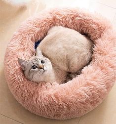 round fluffy pink cat bed Faux Fur Bedding, Round Bed, Cosy Bed, Donut Dog Bed, Fluffy Dogs, High Walls, Cat Pillow