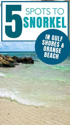 the cover of 5 spots to snorkel in gulf shores and orange beach