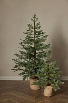 two potted trees are sitting on the floor in front of a wall and wooden floors