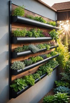 a vertical garden wall with plants growing on it and the sun shining in the background