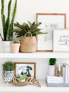 two white shelves with plants and pictures on them, one has a potted plant