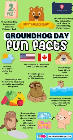 the groundhog day fun fact is shown in this graphic style, with an image of ground