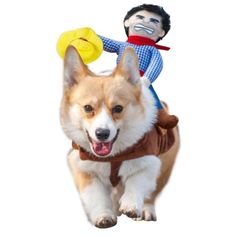 a dog that is wearing a costume with a man on it's back and a frisbee in its mouth