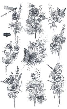 flowers and butterflies drawn in ink on paper